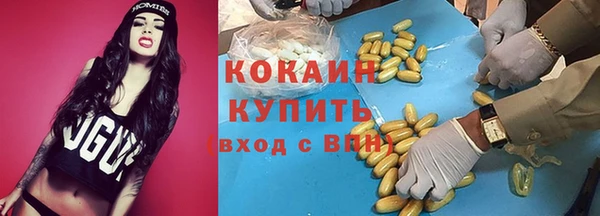 тгк Каменск-Шахтинский