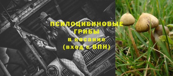 эйфоретик Каменка