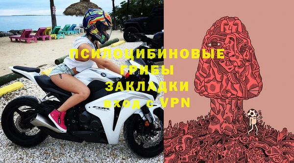 эйфоретик Каменка