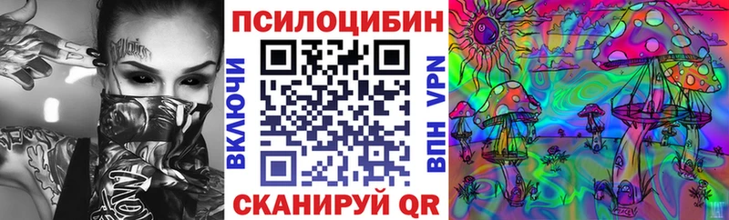 Купить закладки  Зверево  Псилоцибиновые грибы Magic Shrooms 